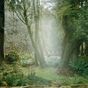 Meet your Posher, Isabelle